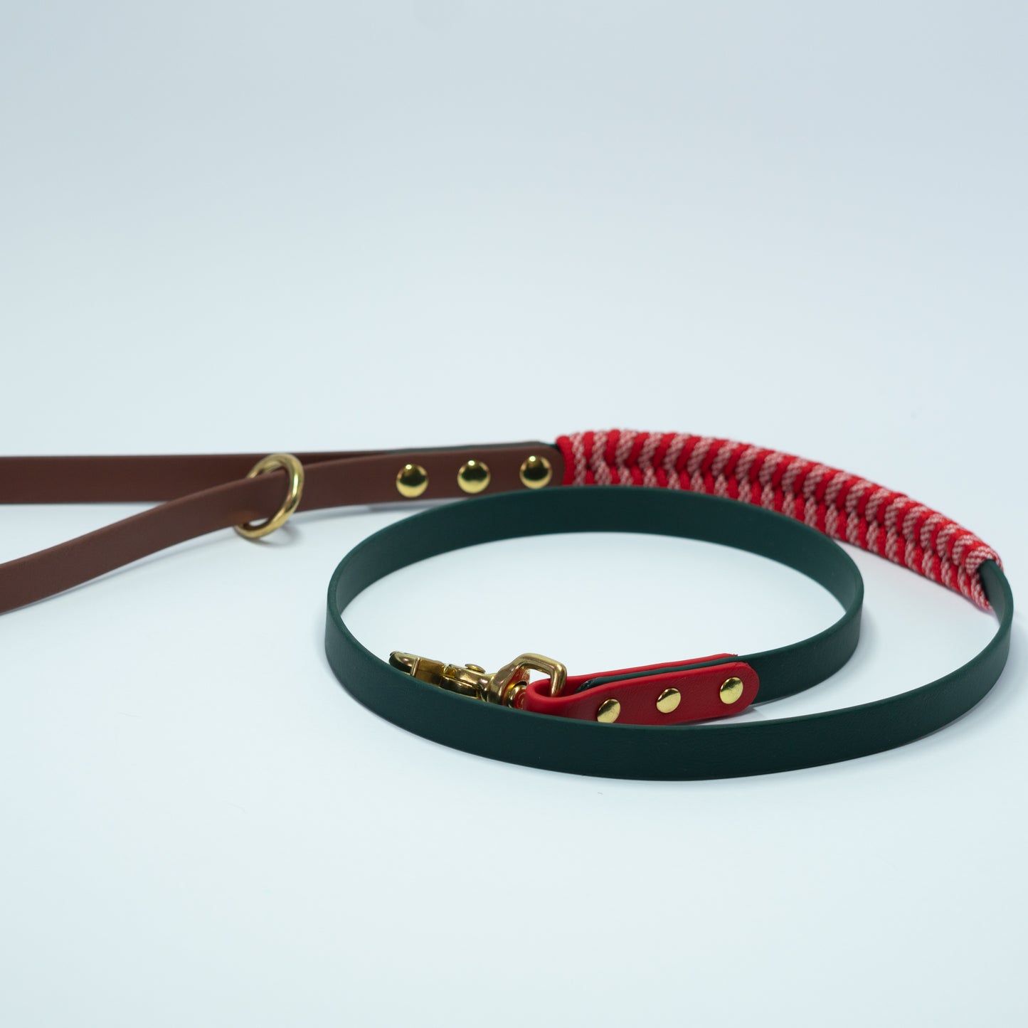 Biothane and Paracord Leash