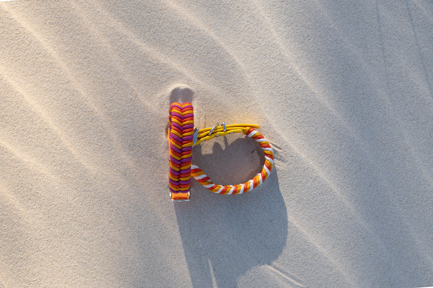 Design your own: Biothane & Paracord Collar