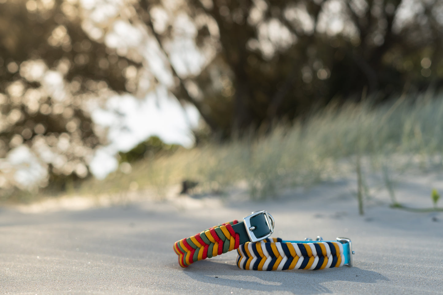 Design your own: Biothane & Paracord Collar