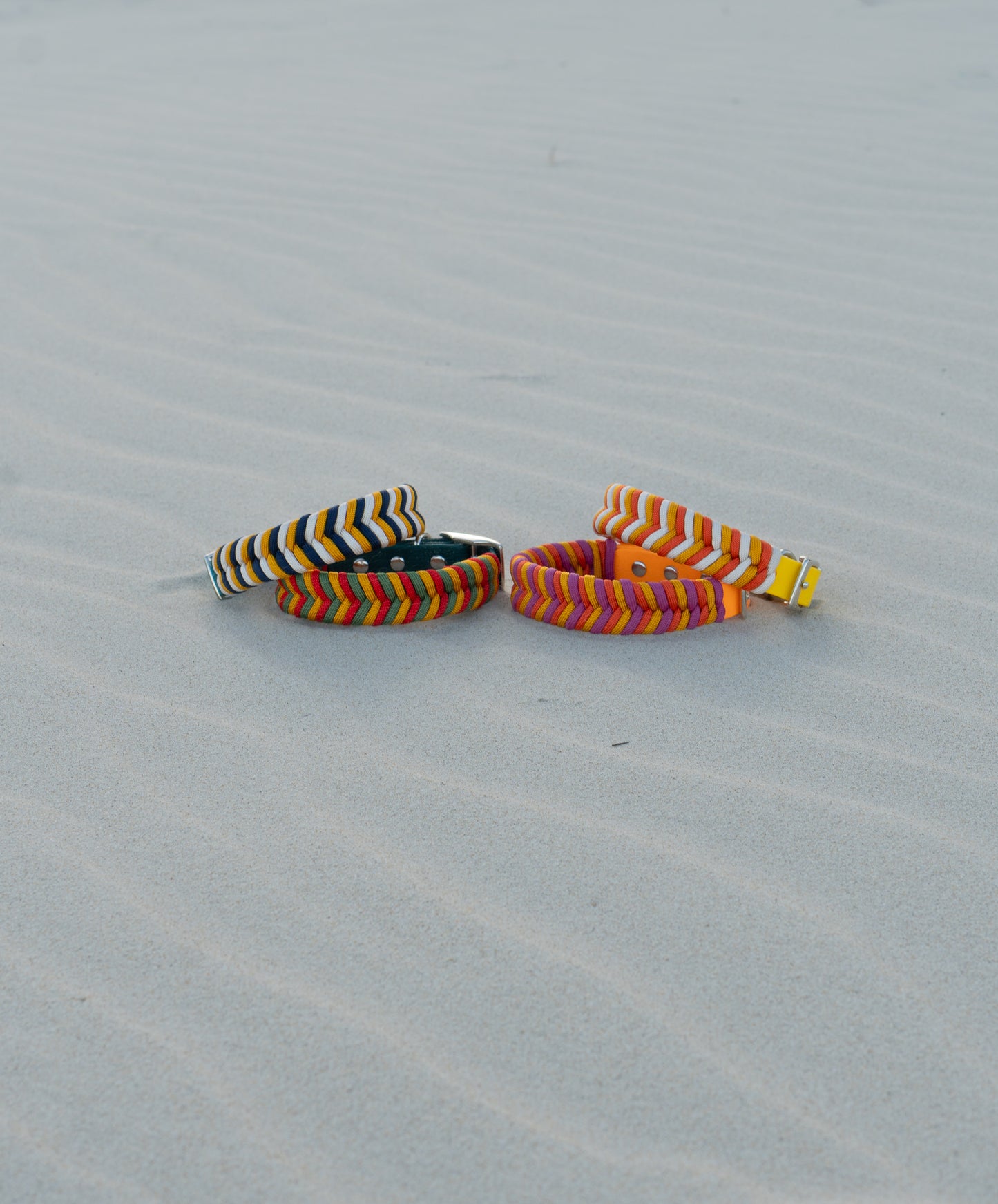 Summer Edition Collars