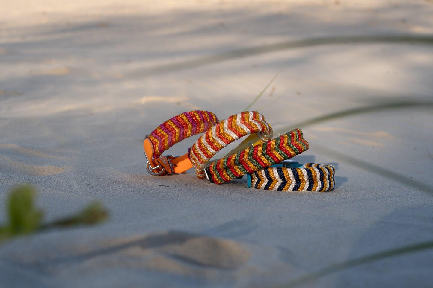 Summer Edition Collars