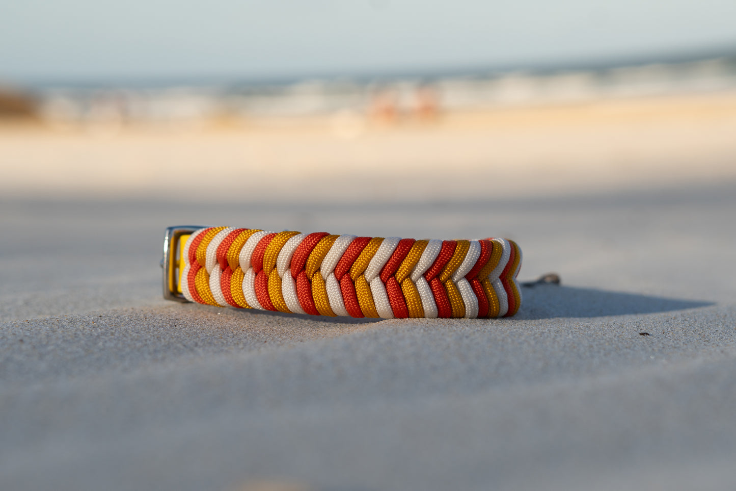 Summer Edition Collars