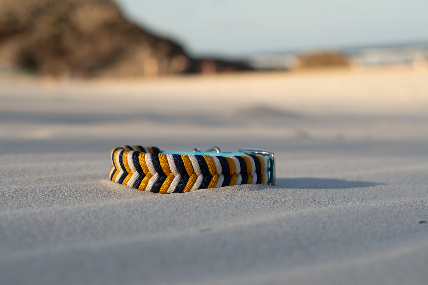 Summer Edition Collars