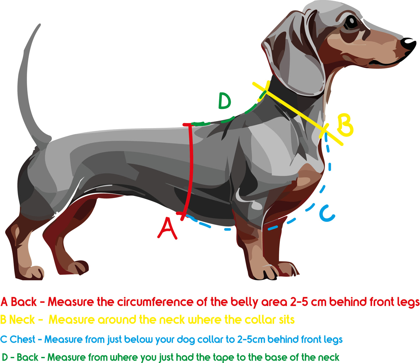 Bespoke Biothane Harness