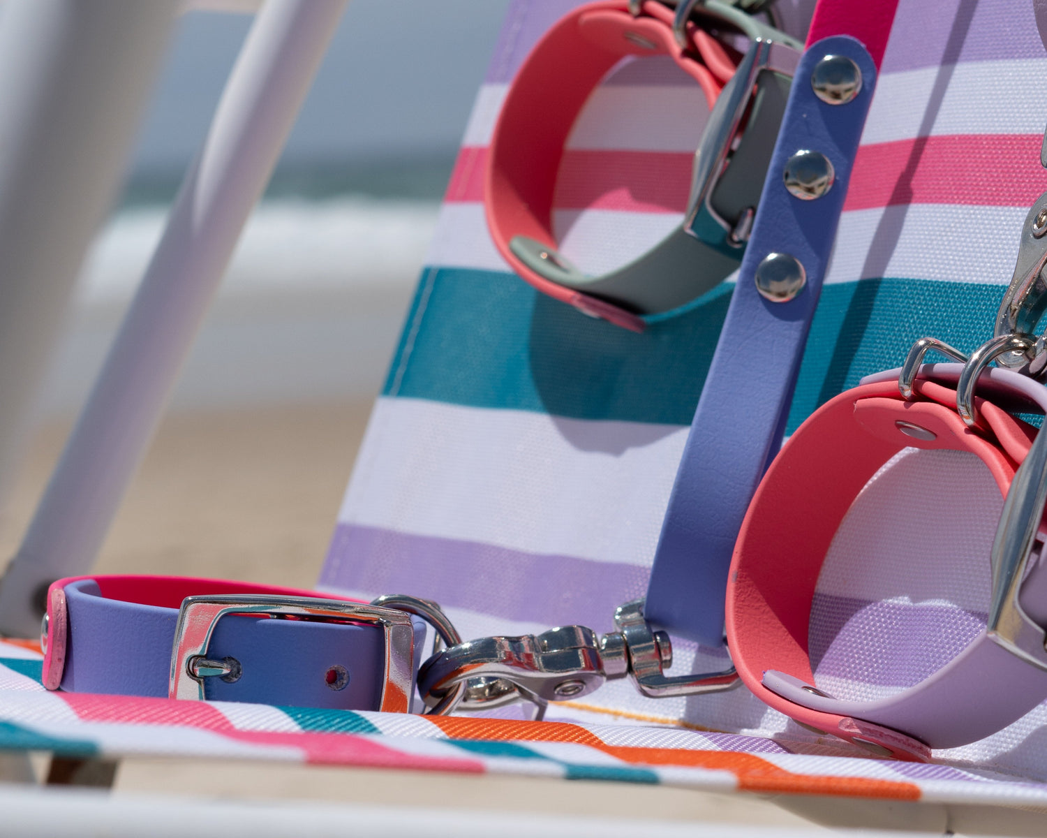 Biothane Collars