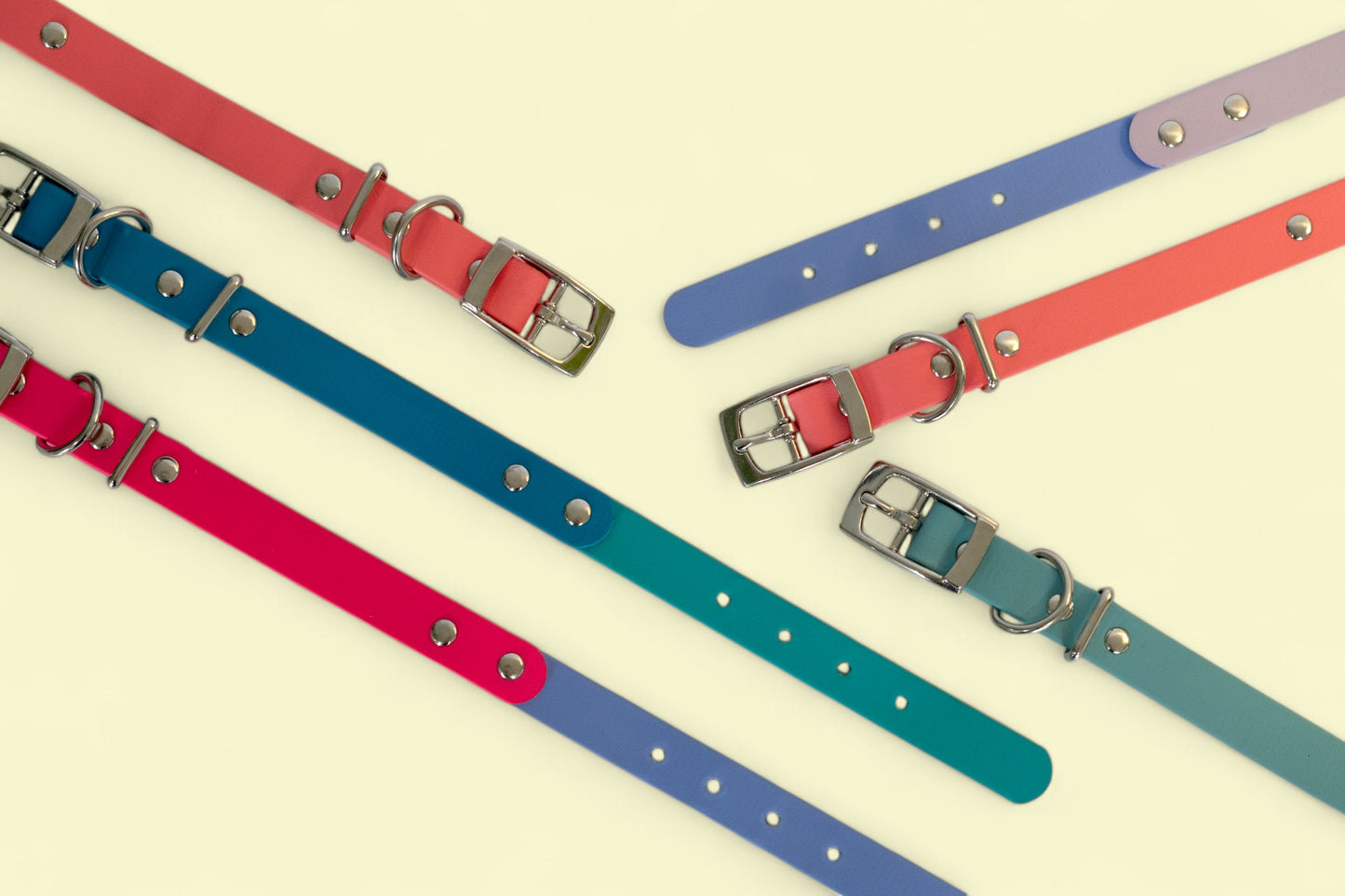 Classic Charm Collar - Double Tones