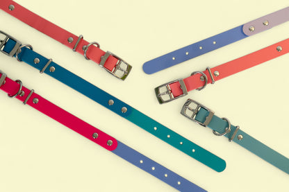 Classic Charm Collar - Double Tones
