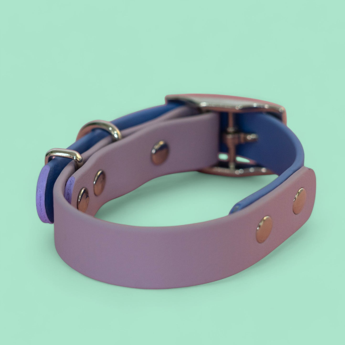 Classic Charm Collar - Double Tones
