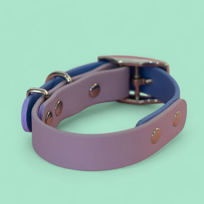 Classic Charm Collar - Double Tones