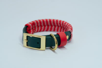 Design your own: Biothane & Paracord Collar