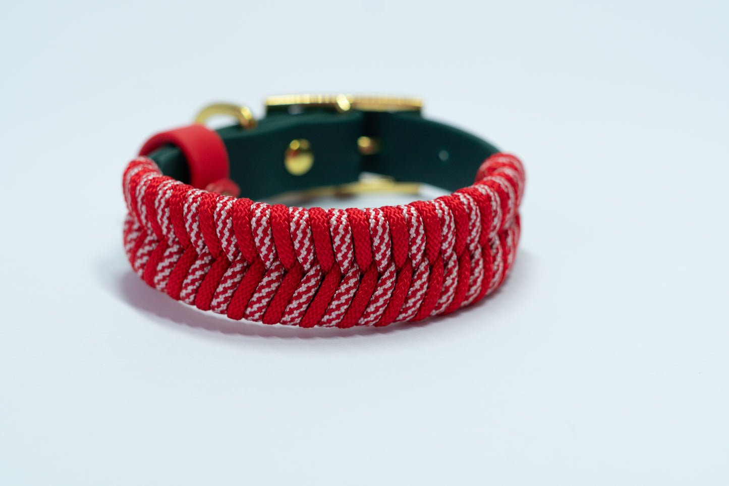 Design your own: Biothane & Paracord Collar