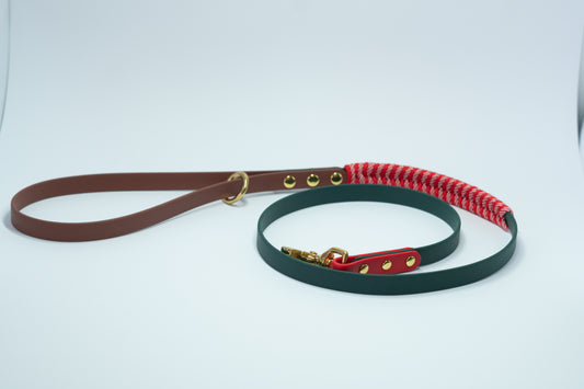 Biothane and Paracord Leash