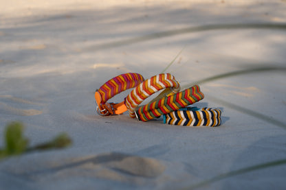 Summer Edition Collars