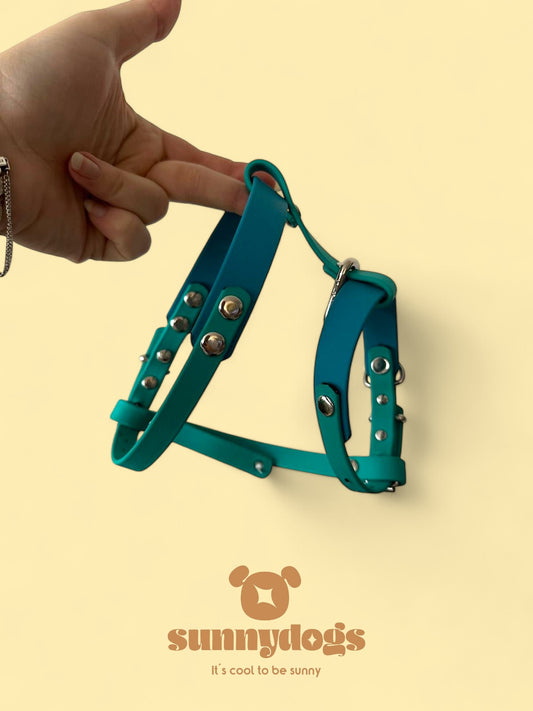 Bespoke Biothane Harness